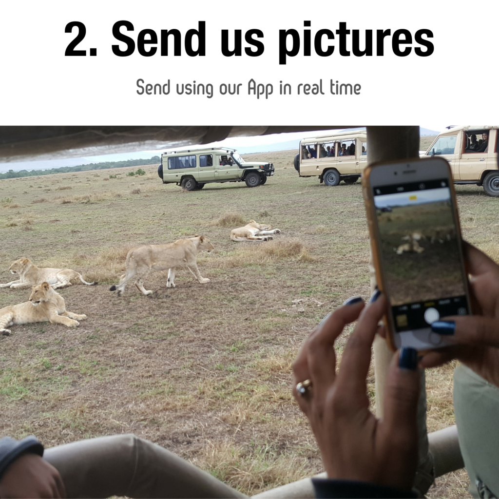 2. Send Images 1024x1024